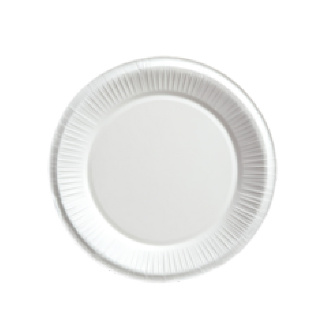 PAPER PLATE